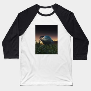 Saturn Garden Baseball T-Shirt